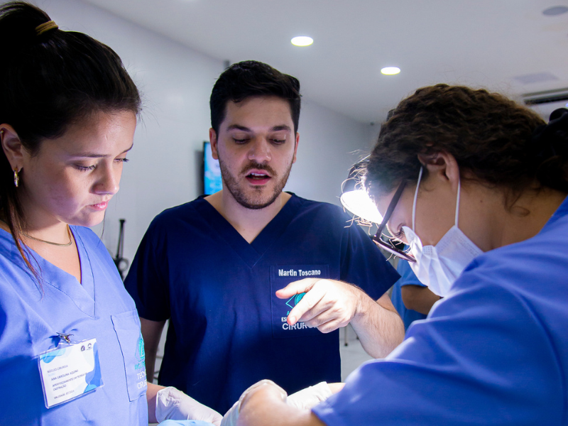 cursos de aperfeiçoamento em medicina veterinária