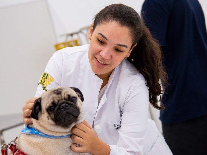 nutrologia veterinária