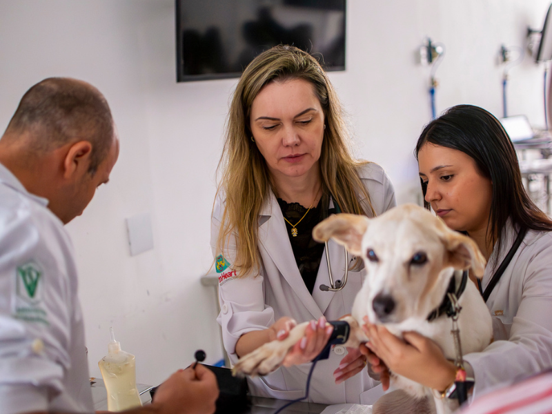 quanto ganha um cardiologista veterinário remuneração